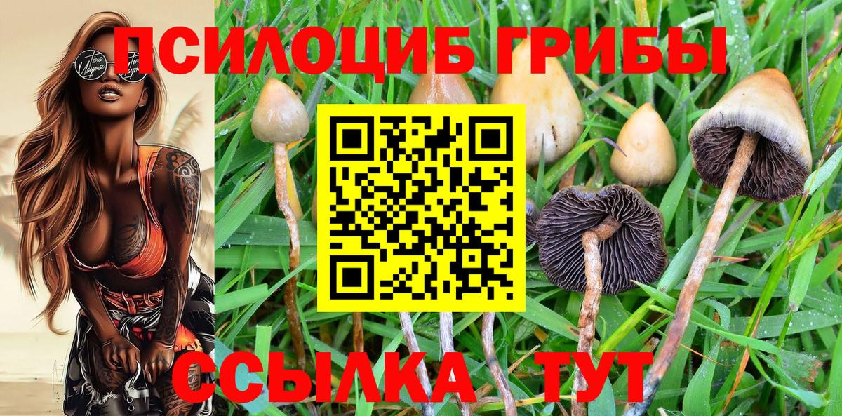 Галлюциногенные грибы MAGIC MUSHROOMS  Вход с VPN  наркота  Октябрьский 