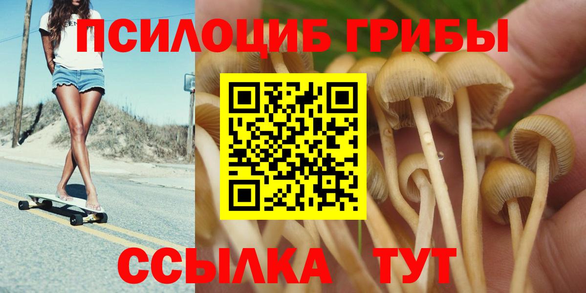 Псилоцибиновые грибы прущие грибы Октябрьский